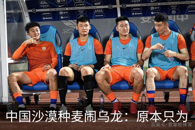 中国沙漠种麦闹乌龙：原本只为“保粮仓”增产，却意外发现金黄麦浪成治沙神器，彻底改变治沙思路？