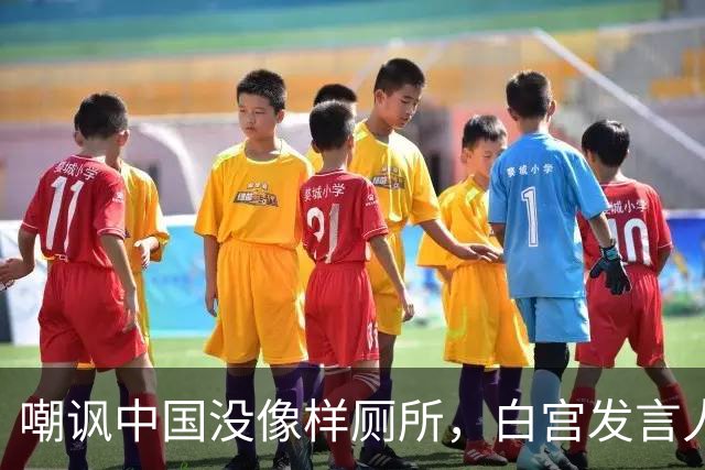 嘲讽中国没像样厕所，白宫发言人干了5天就走人，毛宁一句话亮了