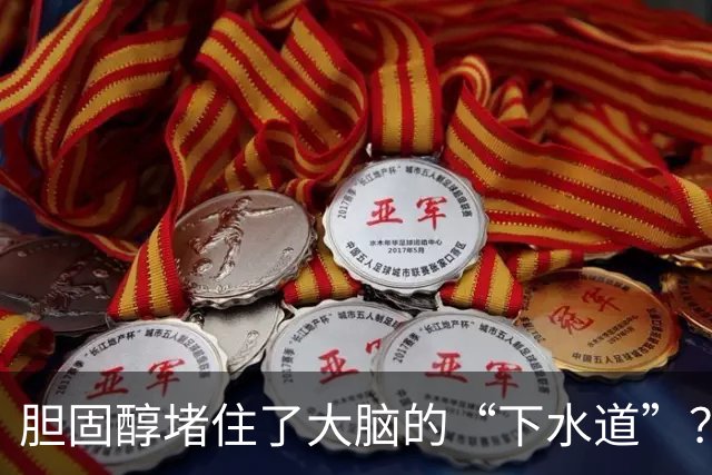 胆固醇堵住了大脑的“下水道”？阿尔茨海默小鼠实验给出线索